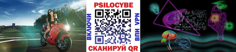 Купить закладки Закаменск Псилоцибиновые грибы ЛСД