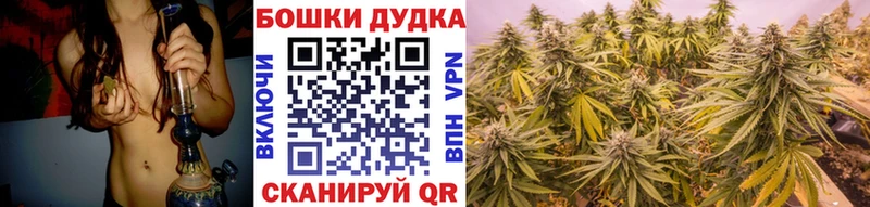 Бошки марихуана гибрид  Купить где  Закаменск 